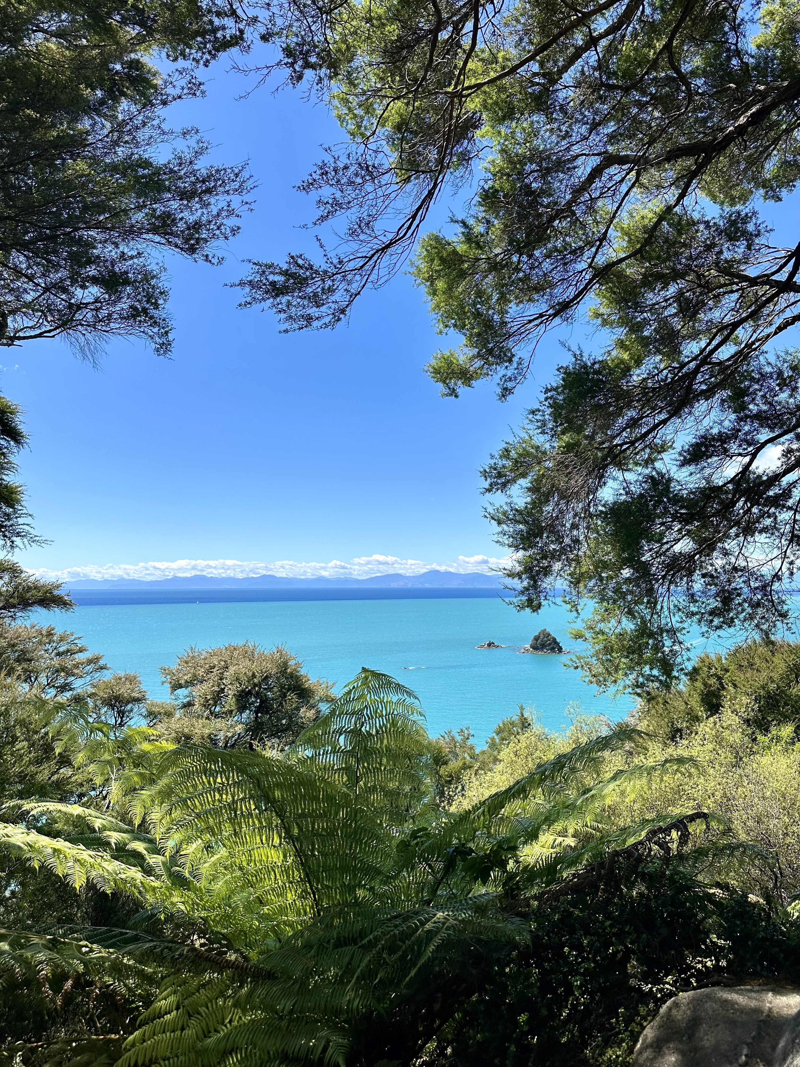 Hiking New Zealand’s Abel Tasman Coastal Track