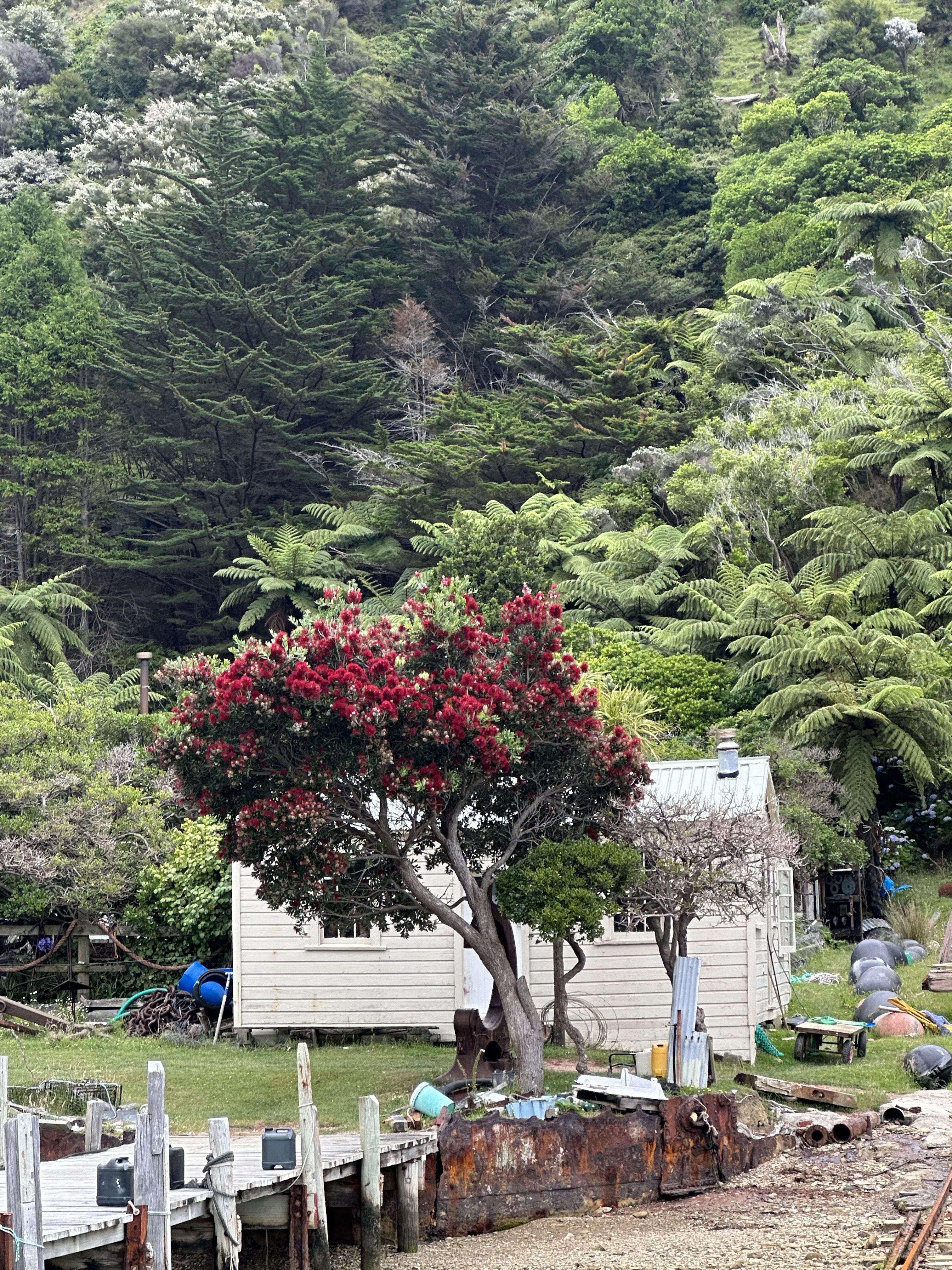 Visit remote communities in New Zealand only accessible by boat