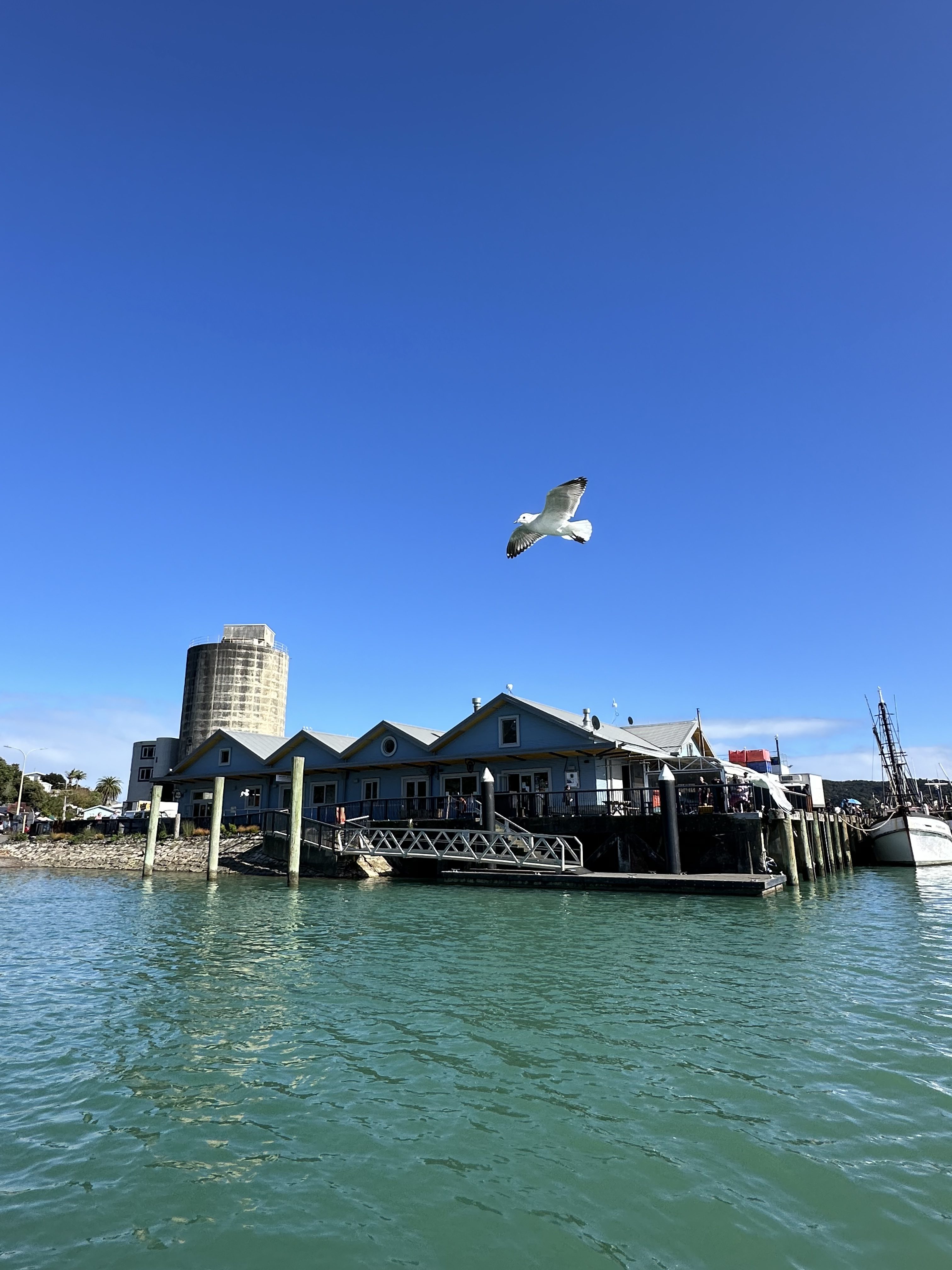 Adventure and relaxation in coastal Raglan, New Zealand