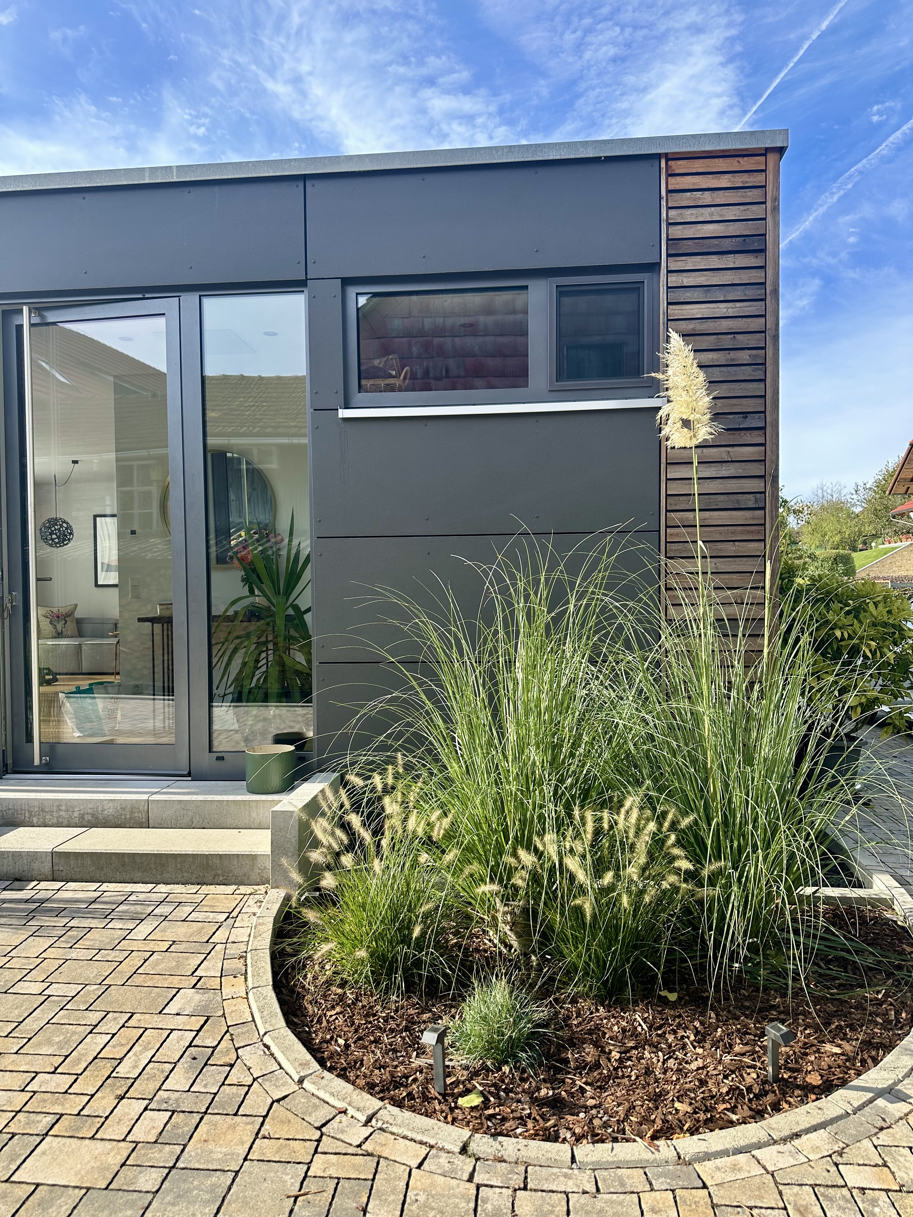 Growing nicely: The grasses around the lil house