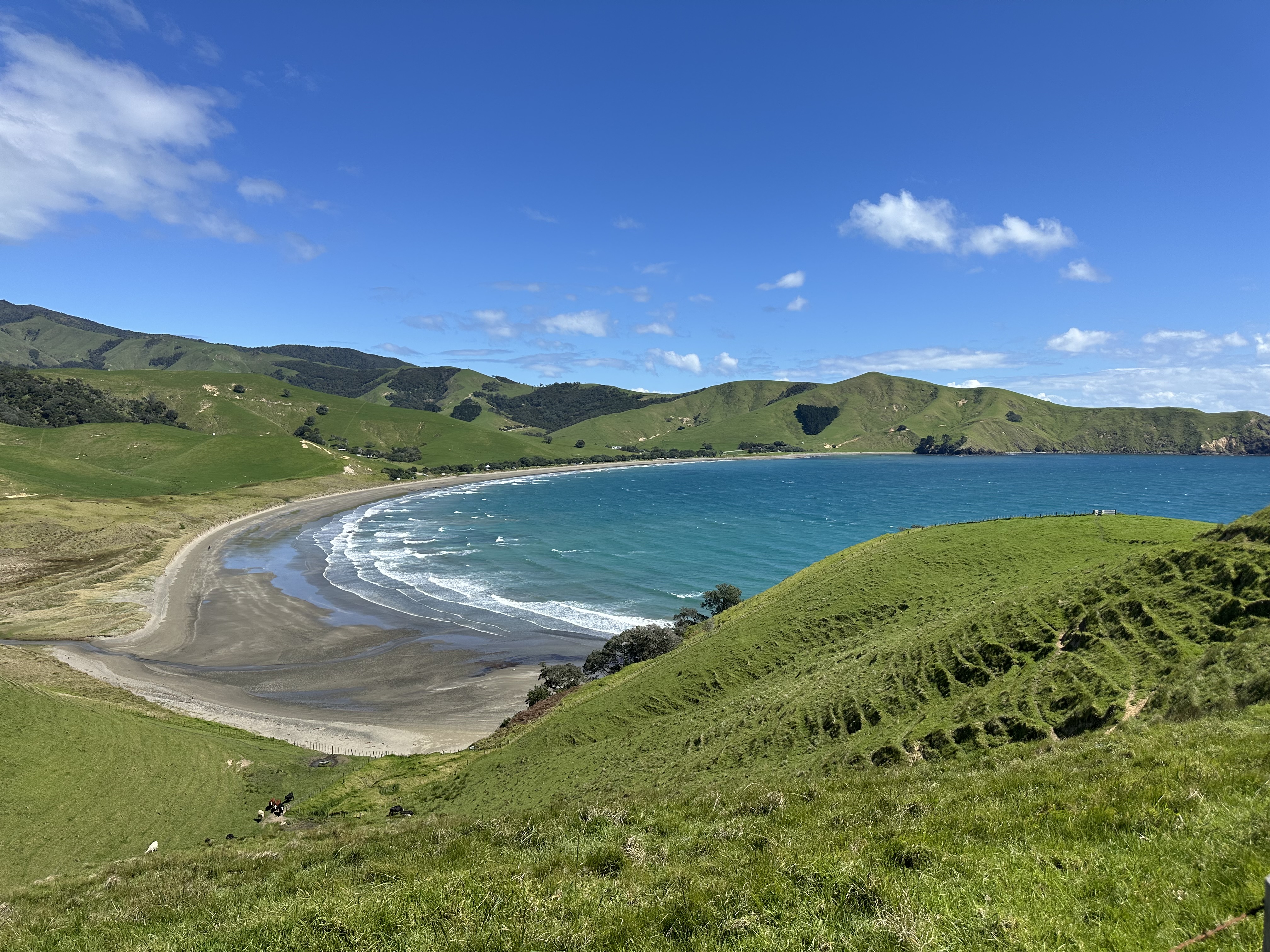 Pahi Coastal Walk: Spectacular scenery, comfort and great food